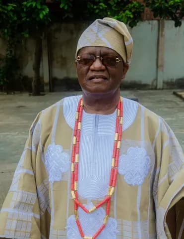 The man, Aderemi